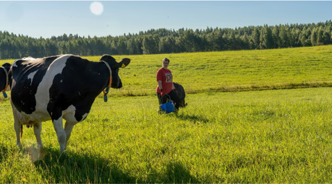  PALKIT­SEMME TUOTTA­JIA ILMAS­TOTOIMISTA