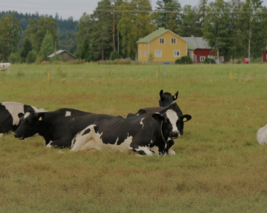 MIKÄ ON FARMAHEAD™ TECH­NOLOGY?