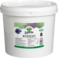 Laktoositon mustikkajogurtti 5 kg