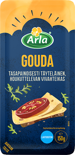 Gouda viipale