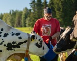 Lehmät ja niiden hyvinvointi työssä tärkeintä